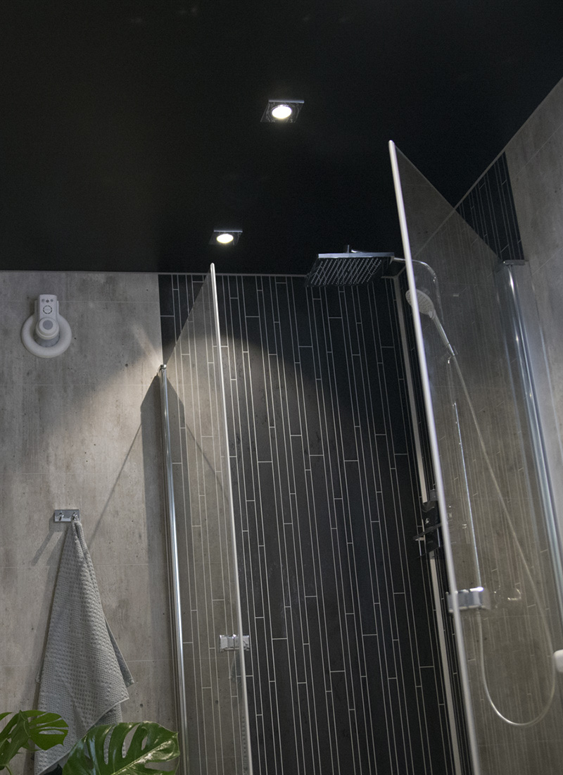 Mørkt drømmebad med sort tak